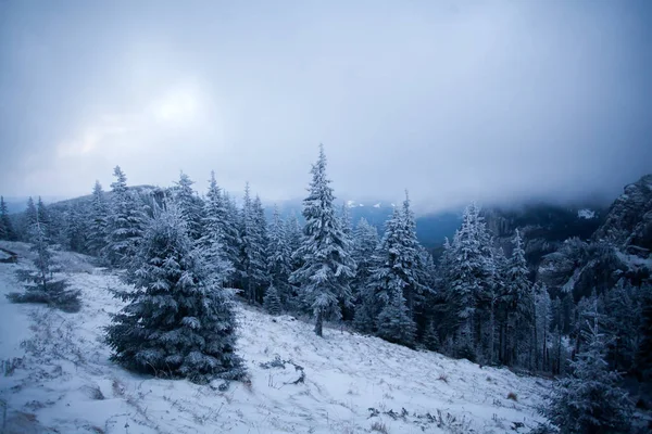 Kerstmis Nieuwjaar Achtergrond Met Winter Bomen Bergen Bedekt Met Verse — Stockfoto