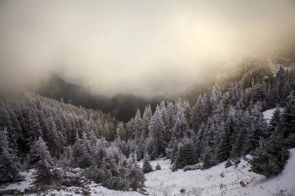 劇的な日の出 霧雪と幻想的な夜明け冬風景します — ストック写真