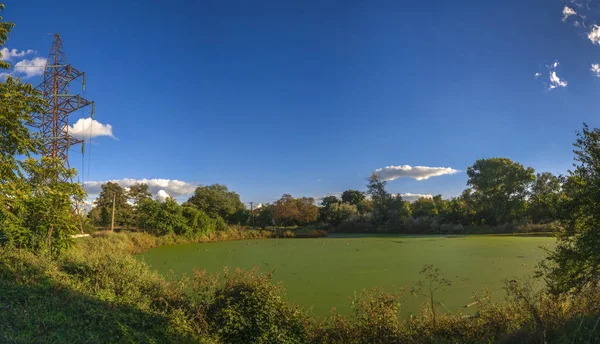 Panoramatický Výhled Starý Špinavý Zelený Rybník Pokrytý Duckweedem Bahnem Letním — Stock fotografie