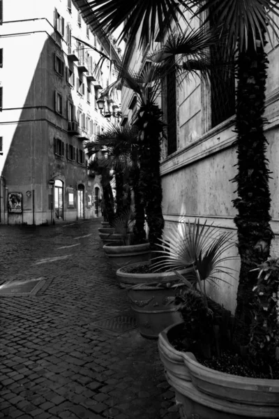 Preto Branco Beco Centro Histórico Roma — Fotografia de Stock