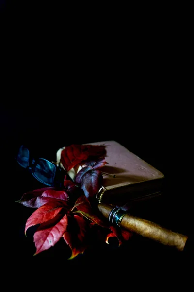 Осінь Осіннє Листя Вечір Розслабляє Читання Книги Куріння Сигари Концепція — стокове фото