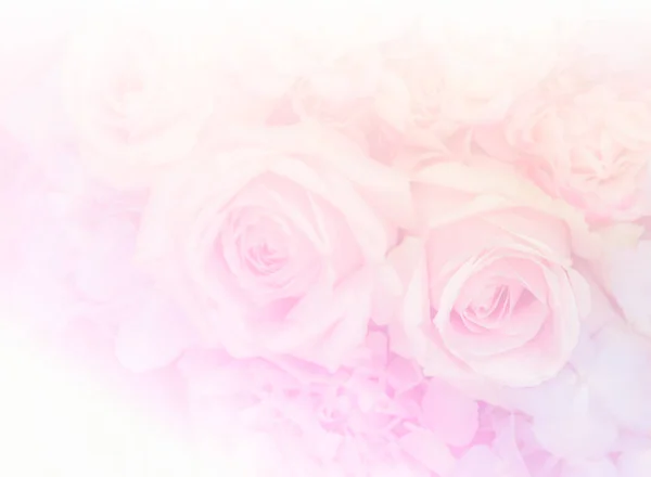 Ανθοδέσμη Ροζ Τριαντάφυλλο Λουλούδια Μαλακό Χρώμα Φόντου — Φωτογραφία Αρχείου