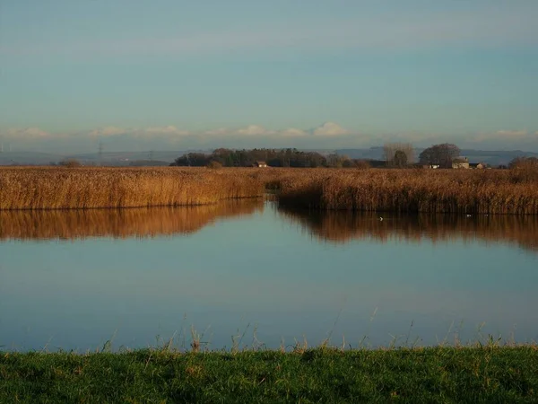 Rustige Rietbedding Weerspiegeld Water Bij Natuurreservaat Blacktoft Sands East Yorkshire — Stockfoto