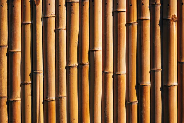 Panel Valla Bambú Natural Seco Pared Textura Fondo — Foto de Stock
