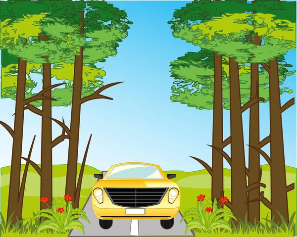 Рік Пейзаж Деревом Автомобілем Їде Дорозі — стокове фото