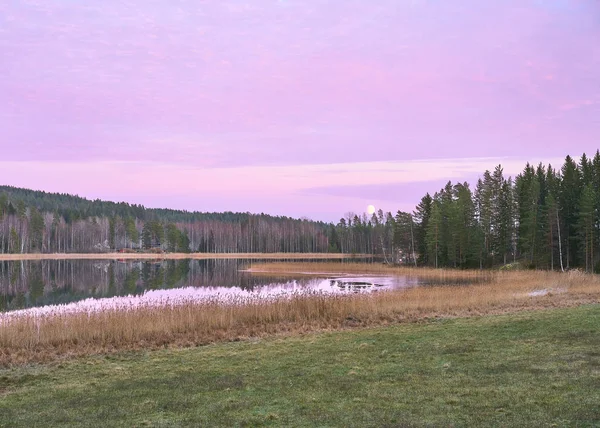 田舎の紫の夕暮れ — ストック写真