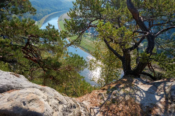 Naturschutzgebiet Ist Ein Schutzgebiet Von Bedeutung Für Flora Und Fauna — Stockfoto