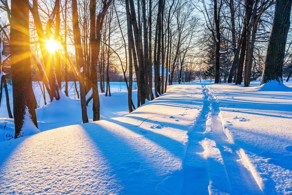 Tramonto Colorato Sulla Pista Sci Nel Parco Invernale — Foto Stock