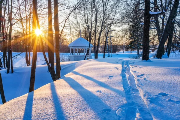 Farbenfroher Sonnenuntergang Winter — Stockfoto