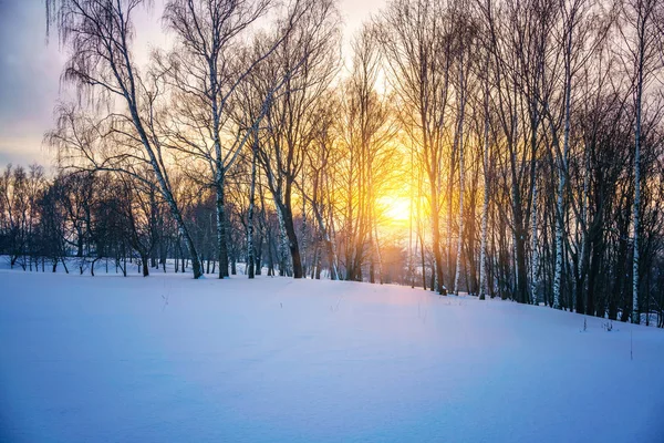 Pôr Sol Colorido Campo Inverno — Fotografia de Stock