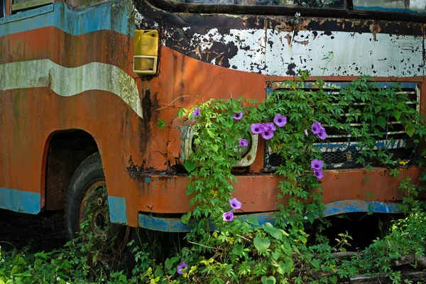 Épave Bus Dans Nature Ferraille Avec Des Plantes — Photo