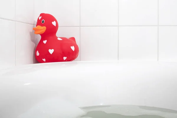 Große Rote Gummiente Der Badewanne Selektiver Fokus — Stockfoto
