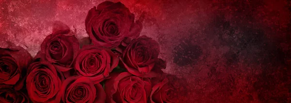Abstract dark red background with bouquet of noble red roses for valentin day