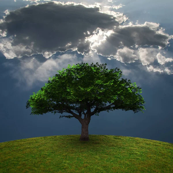 Green Tree Dramatic Clouds Rendering — Stock Photo, Image