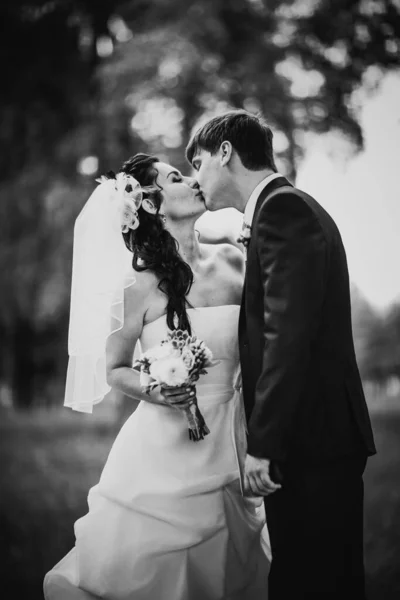 黒い白い写真の結婚式美しい若いカップルが背景の森の上に立つ — ストック写真
