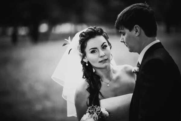 Nero Bianco Fotografia Matrimonio Bella Giovane Coppia Stand Sfondo Foresta — Foto Stock