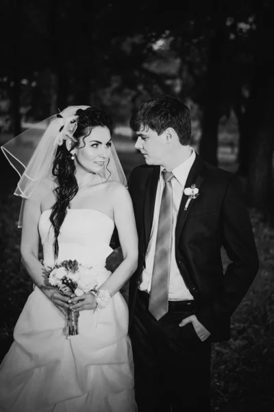 Чорно Біла Фотографія Весілля Красива Молода Пара Стоїть Фоні Лісу — стокове фото