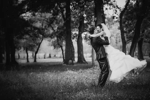 黒い白い写真の結婚式美しい若いカップルが背景の森の上に立つ — ストック写真