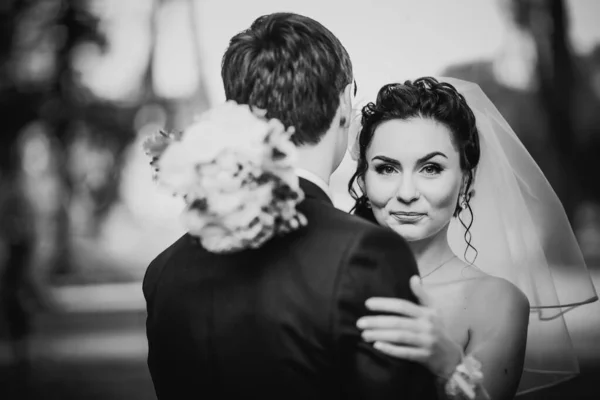 Negro Blanco Fotografía Boda Hermosa Pareja Joven Pie Bosque Fondo —  Fotos de Stock