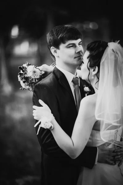 黑白照片婚礼美丽的年轻夫妇站在背景森林上 — 图库照片