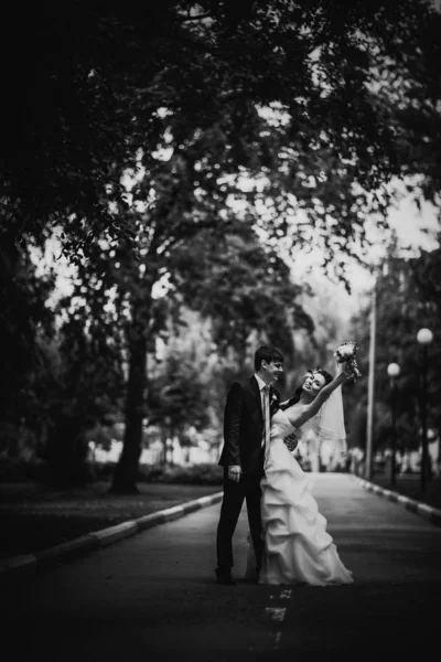 黒い白い写真美しい若いカップルが背景の森の上に立つ — ストック写真