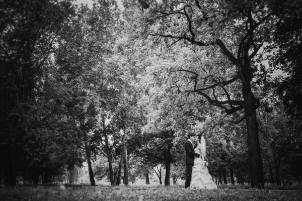 Черно Белая Фотография Красивая Молодая Пара Стоят Заднем Плане Леса — стоковое фото