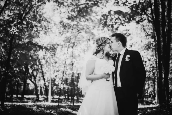 黒い白い写真幸せなカップル花嫁と新郎彼らは森の中に立つ受け入れる — ストック写真