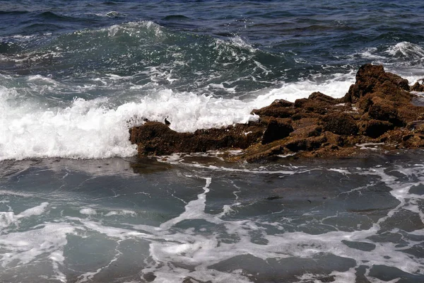 Stranden Atlanten Svallvågor Och Väder Humör — Stockfoto