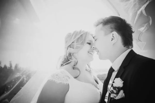Черно Белая Фотография Счастливая Пара Невеста Жених Обнимая Стоят Заднем — стоковое фото