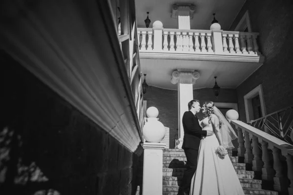 Μαύρο Λευκό Φωτογραφία Νύφη Και Γαμπρός Αγκαλιάζει Στέκονται Στο Παρασκήνιο — Φωτογραφία Αρχείου