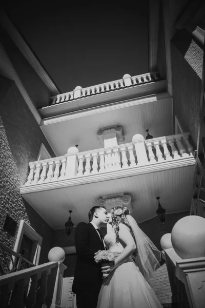 Noir Blanc Photographie Mariée Marié Embrassant Ils Tiennent Sur Fond — Photo