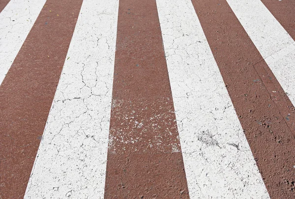 Cebra Cruzando Rojo Blanco Detalle Una Señal Circulación Peatonal Protección — Foto de Stock