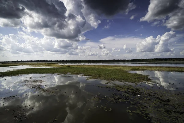 Speglar Sjön Med Cumulusmoln Idylliskt Landskap Med Stående Vatten — Stockfoto