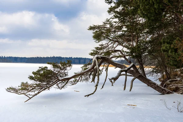 Zima Jezera — Stock fotografie