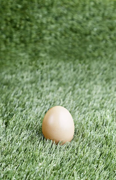 Ett Ägg Gräset Detaljer Hälsosam Livsstil Mat Kyckling Hembrion — Stockfoto