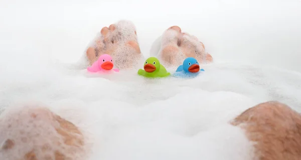 Männerfüße Einer Strahlend Weißen Badewanne Selektiver Fokus Auf Die Zehen — Stockfoto