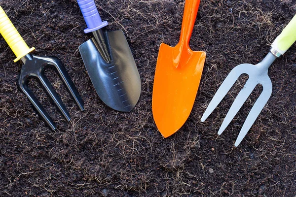 Pelle Fourchette Jardin Sur Terre Avec Poils Noix Coco Pour — Photo