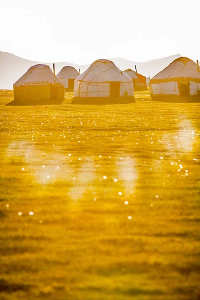 Sore Hari Menembak Beberapa Tenda Padang Rumput Kirgizstan — Stok Foto