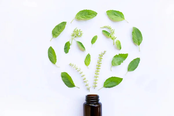 Botella Médica Vidrio Con Hojas Albahaca Verde Flor Sobre Fondo — Foto de Stock