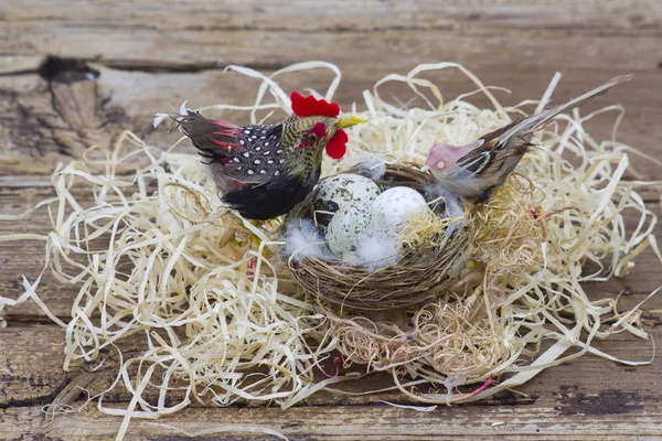 Paskalya Dekorasyonu Yuvadaki Yumurtalar Kuşlar — Stok fotoğraf
