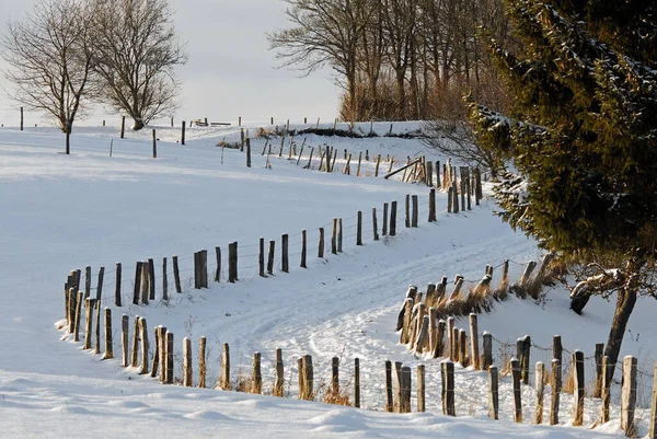 Vue Sur Paysage Incroyable — Photo