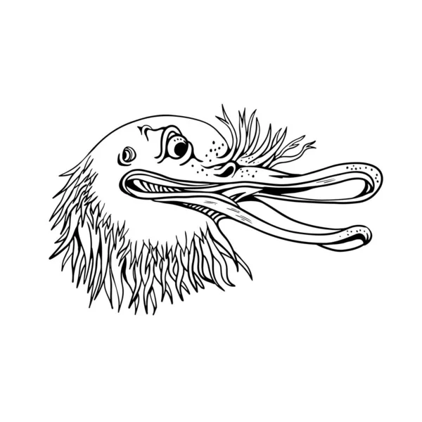 Cartoon Graffitti Style Illustration Angry Aggressive Kiwi Head Flightless Bird — стокове фото