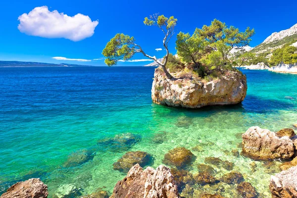 Idyllic Islet Punta Rata Beach Brela Makarska Riviera Dalmatia Croatia — Stock Photo, Image