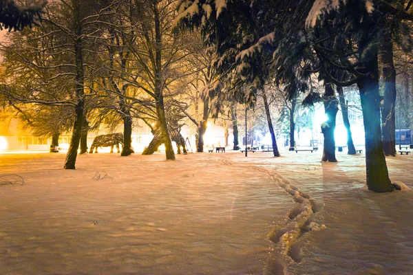 Száj Nyomatok Nézetben Snow Park Télen Fagyasztva Városképek — Stock Fotó