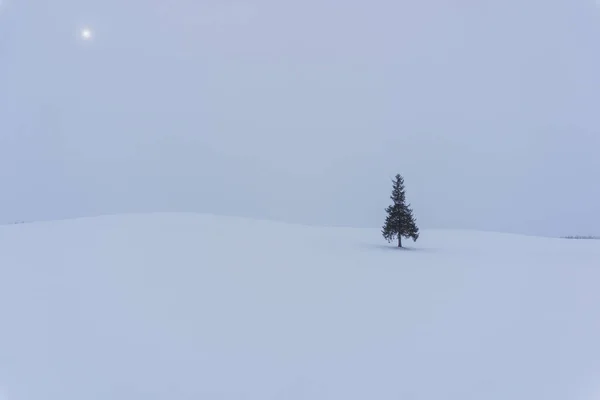 Paisagem Inverno Com Abeto Durante Dia — Fotografia de Stock