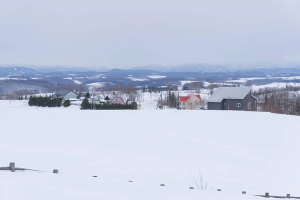 Paisagem Inverno Com Abeto Durante Dia — Fotografia de Stock