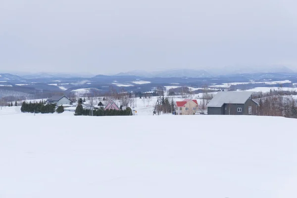 Paisagem Inverno Com Abeto Durante Dia — Fotografia de Stock