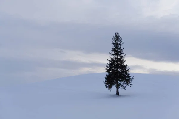 Χειμερινό Τοπίο Έλατο Την Ημέρα — Φωτογραφία Αρχείου