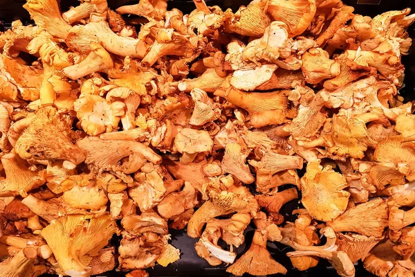 Grande Variedade Cogumelos Comestíveis Banca Mercado — Fotografia de Stock