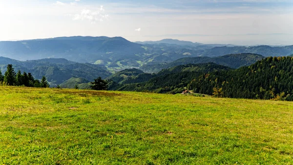 Beautyful Blackforest Landscape Summertime — Stock Photo, Image